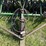 john-deere-450-image-8