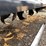 #2006-•-2026-unused-land-honor-rotary-tiller-attachment-image-6