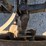 1996-mack-ch600-image-65