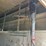 2018-international-durastar-4300-image-55