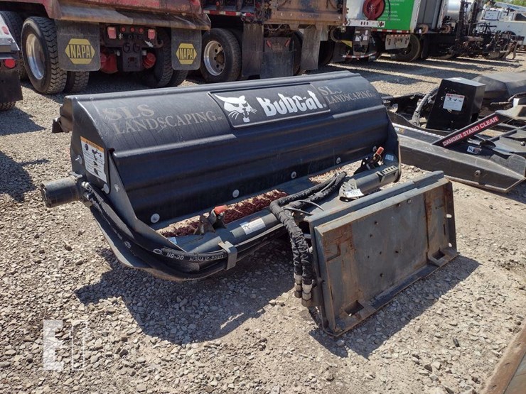 bobcat-image-1