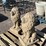 (2)-concrete-lion-statues-image-1