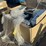 box-of-asst-home-hardware-image-2