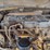 1999-caterpillar-th83-image-27