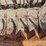 rockland-root-grapple-image-6