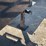 #1320-•-2025-big-tex-gooseneck-trailer-(has-tn-title)-image-4