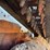 2019-bobcat-t595-image-68