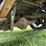 2003-dodge-ram-1500-image-14