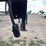 #1307-•-1984-diamond-equipment-flatbed-trailer-(has-mn-title)-image-12