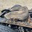 1999-kenworth-t2000-image-14