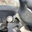 2012-workhorse-w62-image-13