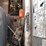 2003-bobcat-t300-image-40