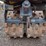 bomag-bmp851-image-16