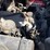 #1056-•-yale-forklift-image-7