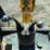 jcb-214-image-22