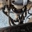 #25370-•-2019-chevrolet-silverado-pickup-truck-image-14