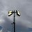 2024-allmand-gr-series-s/a-towable-light-tower-image-23