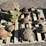 pallet-of-concrete-turtle-statues-&-stepping-image-3
