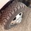 2004-ford-f350-image-12