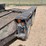 #1311-•-flatbed-trailer-(no-title-parts-only-trailer)-image-9