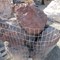 heavy-equipment,-trucks,-vehicles-and-contractor-equipment-image-3
