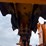 broderson-ic250-image-12