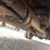 2004-ford-f350-image-13
