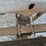#25370-•-2019-chevrolet-silverado-pickup-truck-image-59