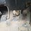 1995-ford-ltl9000-image-67