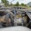 1995-ford-ltl9000-image-54