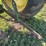 john-deere-40-image-63