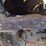 92-etnyre-m-209-91-chip-spreader-image-30