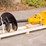 caterpillar-305-image-1