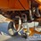 2015-rosco-rb48-image-22