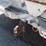 2012-ford-f450-image-22