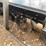 #2049-•-2026-mower-king-skid-steer-rotary-tiller-image-7