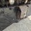 #1803-•-1987-international-tandem-axle-dump-truck-image-24