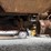 2008-international-durastar-4300-image-64
