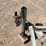 #1310-•-2022-aluma-8220h-tilt-trailer-(has-mn-title)-image-9
