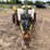 #1306-•-2000-ringomatic-vac-trailer-(has-mn-title)-image-7