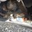 #3269-•-30'-tandem-axle-flatbed-trailer-image-33