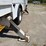 2013-international-workstar-7300-image-29