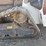 2022-bobcat-t76-image-18