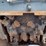 18-roadhog-pcp18hs-18-in-skid-steer-planer-image-7