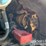 2023-caterpillar-259d3-image-31