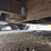 1998-talbert-lowboy-image-50