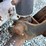 2019-bobcat-t595-image-32