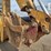 jcb-3cx14-image-33