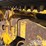 2023-caterpillar-259d3-image-13