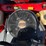 gravely-proturn-260-image-5